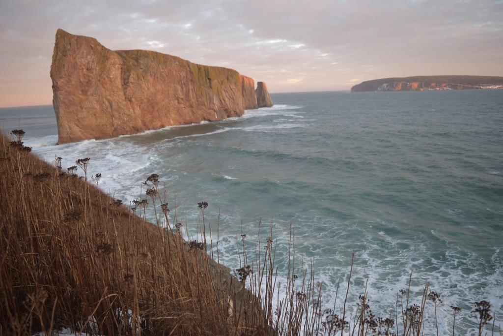 Gite Aux Jardins De L'Anse Perce Exterior photo