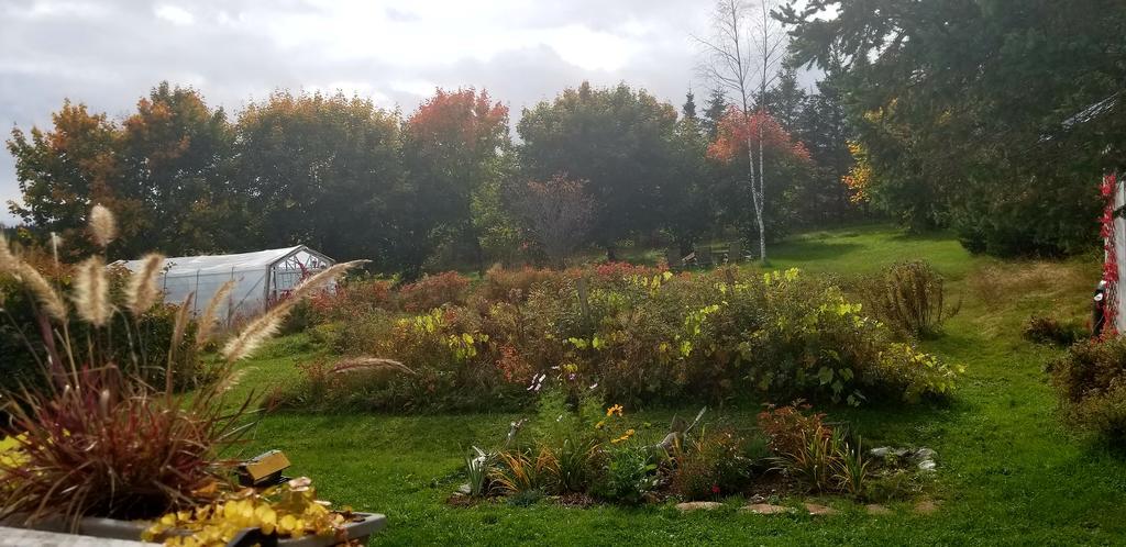 Gite Aux Jardins De L'Anse Perce Exterior photo